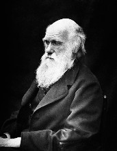 Se cumplen 150 a�os de la "Teor�a de la evoluci�n" 