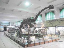La evoluci�n del planeta reunida en 200 a�os