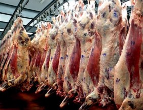 Advierten que el consumidor argentino "paga la carne muy cara"