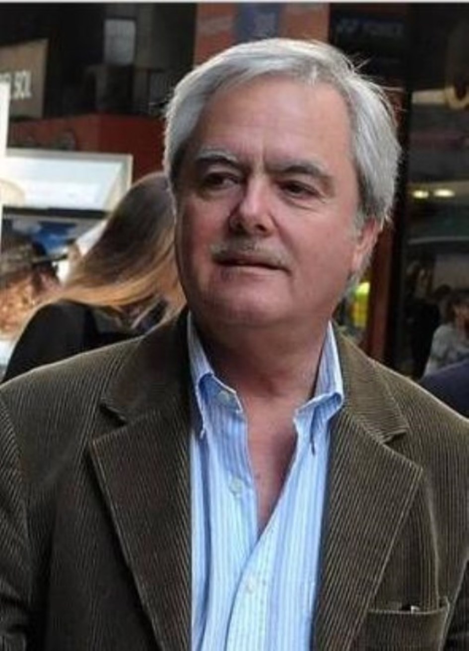 Pinedo será el nuevo presidente provisional del Senado Política