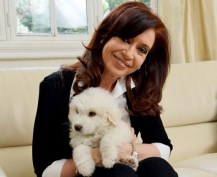 Advierten que Cristina "va a seguir militando y conduciendo"