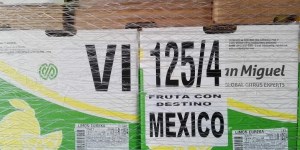 El primer cargamento es de 23 toneladas.