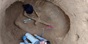 Hallaron restos de un gliptodonte en Sierra de los Padres