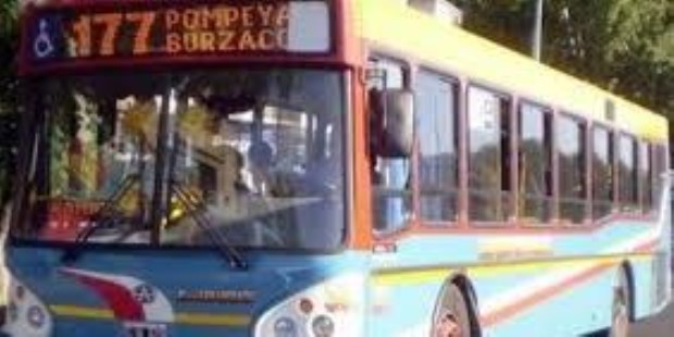 Reincorporan al chofer y se levanta el paro de las diez líneas de colectivos