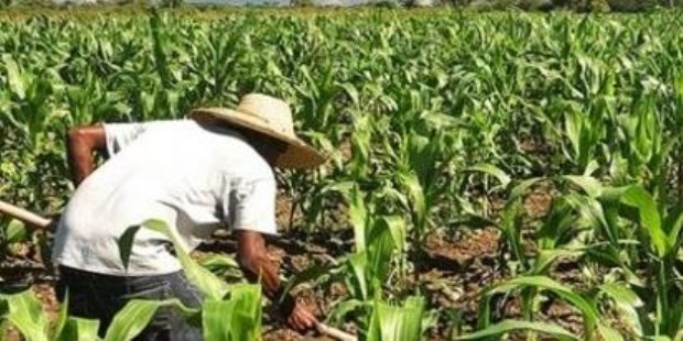 El cambio amenaza a las regiones secas