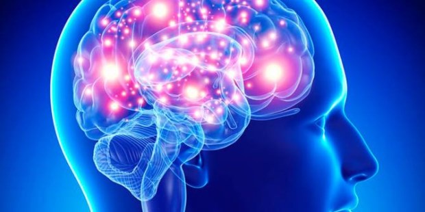 El profesor Rubén Bale enseña que el cerebro es un sistema robusto pero frágil. Hay que cuidarlo.