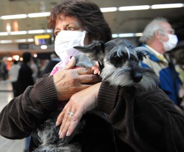 Gripe A: ¿un invento de los laboratorios?