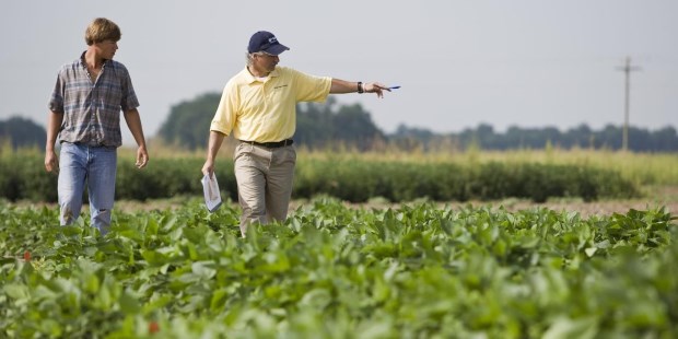 El sector agropecuario ha perdido el ethos de participar en la vida pública.