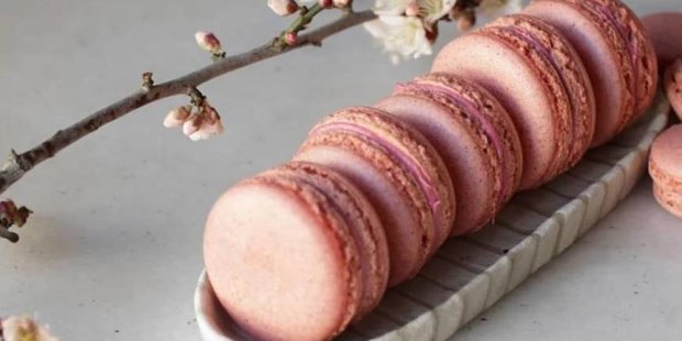 Celebran el Día del Macaron