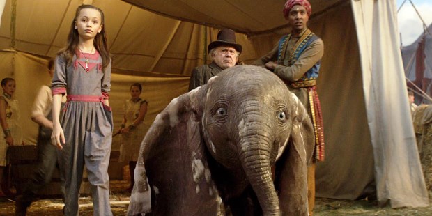 El fascinante mundo del circo