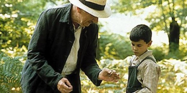 En el lenguaje de aquellas mariposas