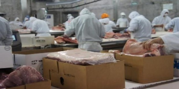 Agroindustria busca la apertura del mercado chino para la carne de cerdo argentina 