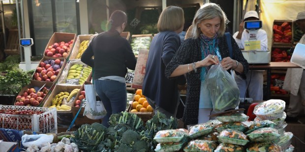 Urge armar un nuevo sistema de comercialización.