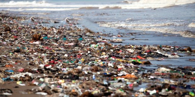 La costa se ve impactada por la contaminación urbana y los residuos volcados al mar.