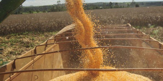 La Afip confisca casi 5.000 toneladas de granos en operativos realizados en cuatro provincias
