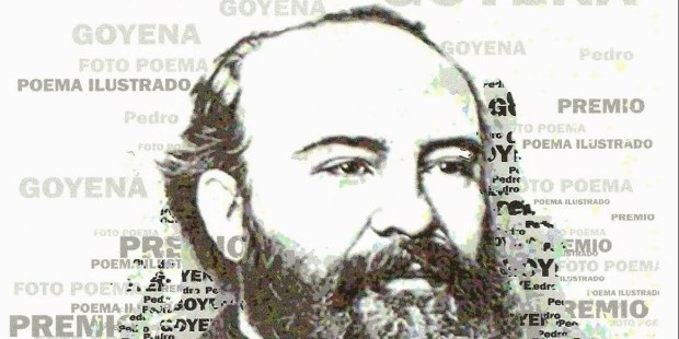 Pedro Goyena, periodista, docente y político