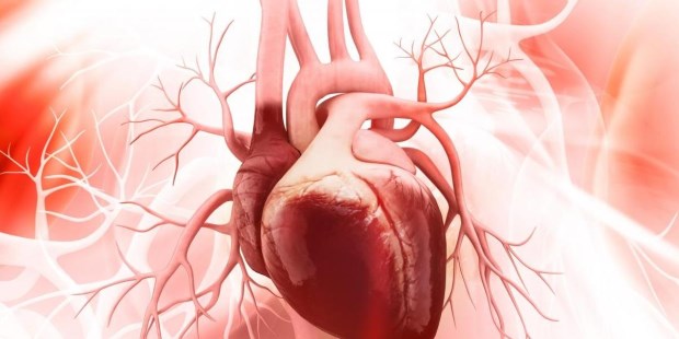 Muchos confunden la insuficiencia cardíaca con limitaciones de la vejez 