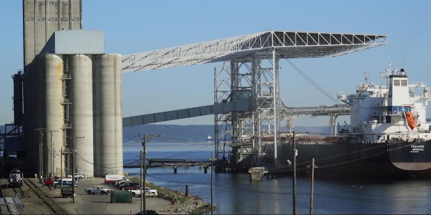 ¿Por qué no hay más empresas que exporten? Porque ningún país del mundo importa impuestos