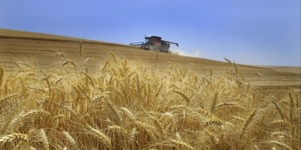 El último censo agropecuario demostró la desaparición de 100.000 explotaciones en menos de dos décadas, un tercio del total.
