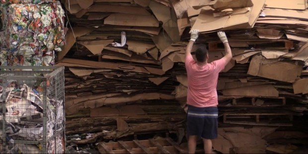 Elogio del cartonero - Opinión | Diario La Prensa