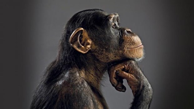 Los animales como instrumentos de la ideología