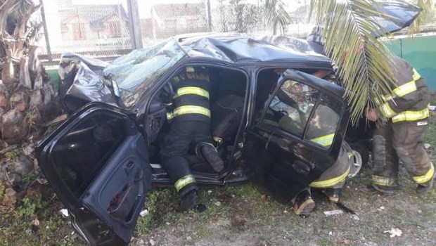Cuatro jóvenes murieron al chocar su auto contra una palmera en Bernal ...