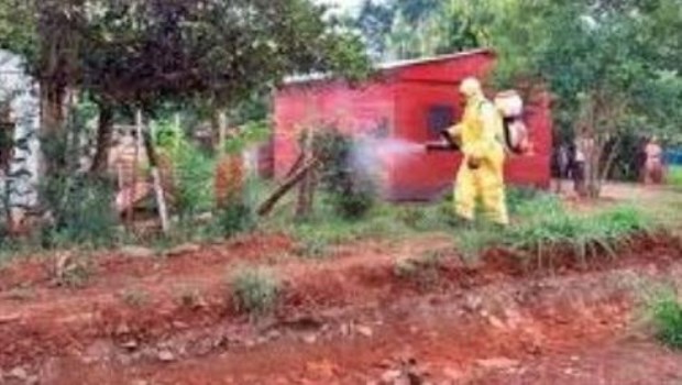Misiones confirmó 240 casos positivos de dengue y los sospechosos superan los 7 mil