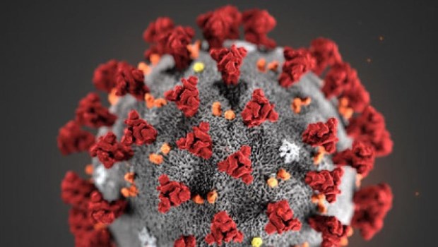 El coronavirus afectaría la molécula de hemoglobina en la sangre y afecta a la capacidad de transportar oxígeno.