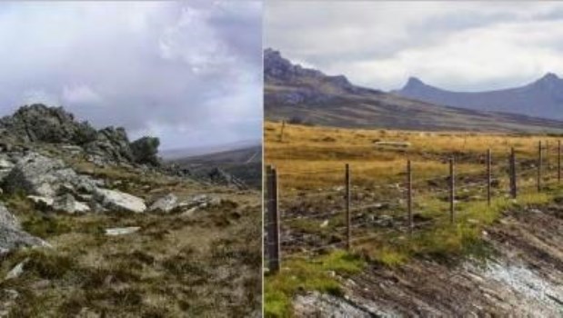 Imágenes de Monte Harriet y Monte Dos Hermanas, a unos 20 kilómetros de Puerto Argentino.