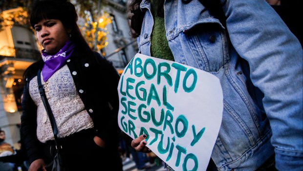 Una semilla no es una planta