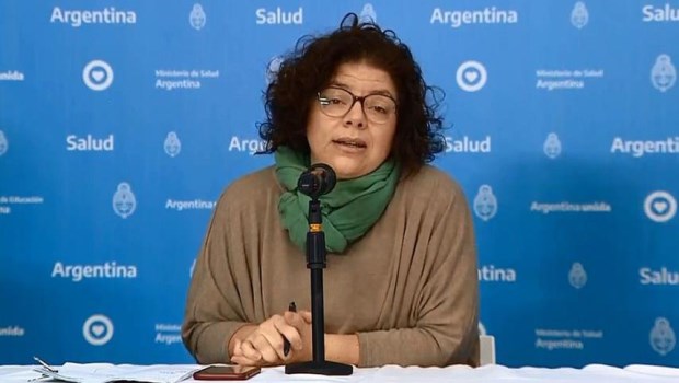 Vizzotti alertó por la presión que atraviesa el sistema de salud.