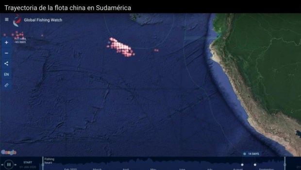 Denuncian que 300 barcos de China se acercan a Chile para saquear sus recursos