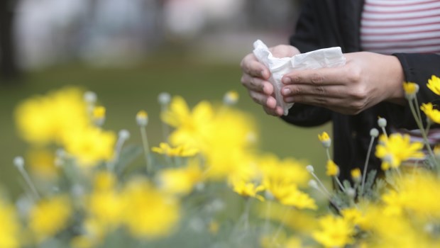 Las alergias y la primavera: el incremento de pólenes genera más casos 