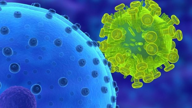 El virus está en las redes