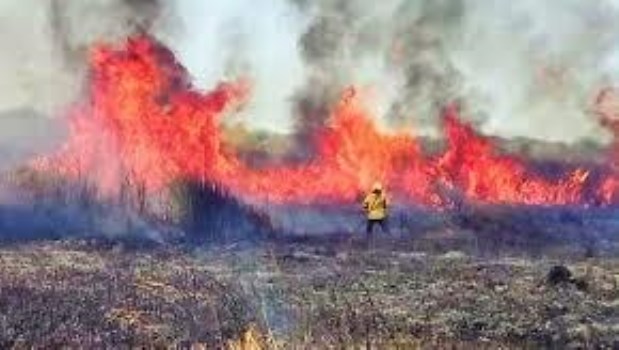 Aprobaron la ley que el kirchnerismo presentó con la excusa de evitar especulaciones con los campos incendiados