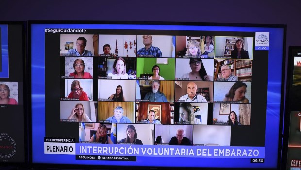 Los expositores de las comisiones, conectados virtualmente.