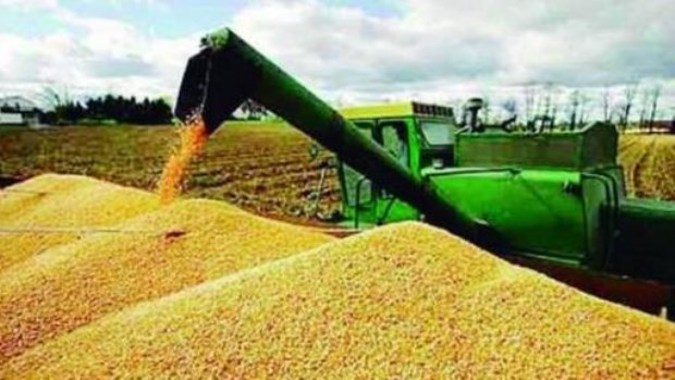 Agro.