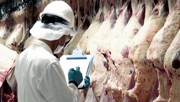 La carne, en la mira