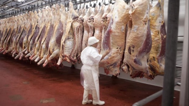 Afirman que la suspensión de las exportaciones de carne es una medida "propotente y disparatada"