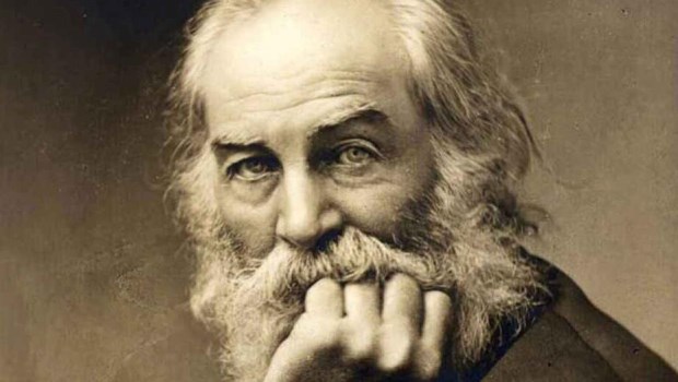 El cerebro de Walt Whitman