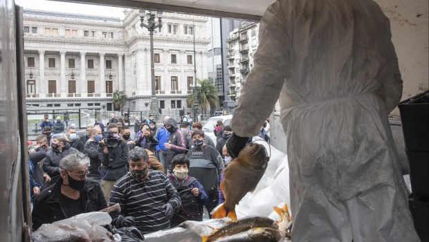 "Pescadazo" en el Congreso: pequeños productores venden pescado a 100 pesos el kilo
