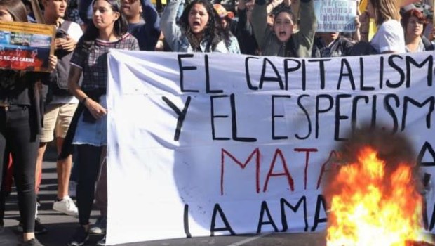 Las formas corrosivas del "progresismo" intentan disolver el ethos cristiano subsistente en nuestra civilización occidental.