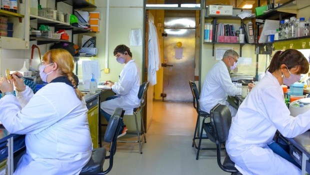 La vacuna fue diseñada por investigadores de la Fundación Instituto Leloir (FIL) y del Conicet.