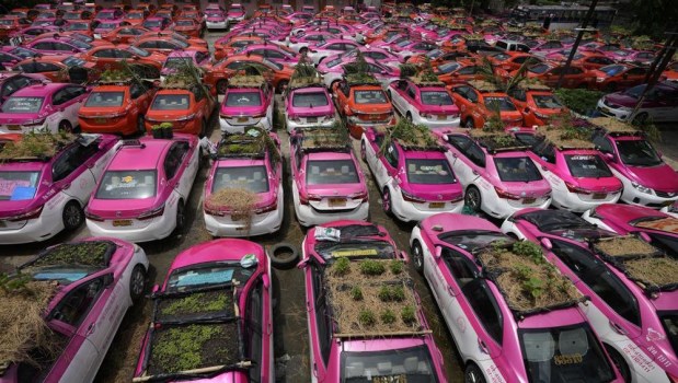 Los taxis tailandeses inactivos se vuelven ecológicos con mini jardines en los techos 
