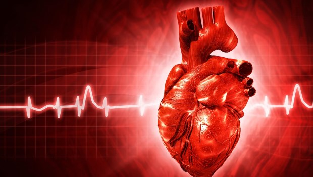 Nuevos datos sobre los trastornos del ritmo cardíaco 