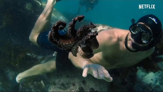 `Mi maestro el pulpo' enseña sobre el poder de la naturaleza para sanar heridas y mejorar nuestra salud mental.­