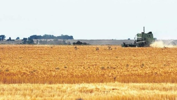 Nuestro país ha dejado de ser líder latinoamericano en producción agroindustrial.