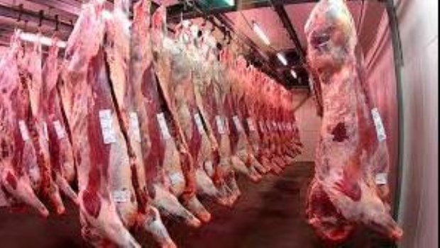 Por las restricciones, la Argentina pierde terreno entre los países que más carne exportan a China