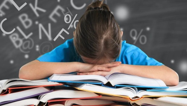 Las dificultades conocidas como dislexia (lectura), disgrafía (escritura) y discalculia (cálculo) afectan al 10 por ciento de la población.