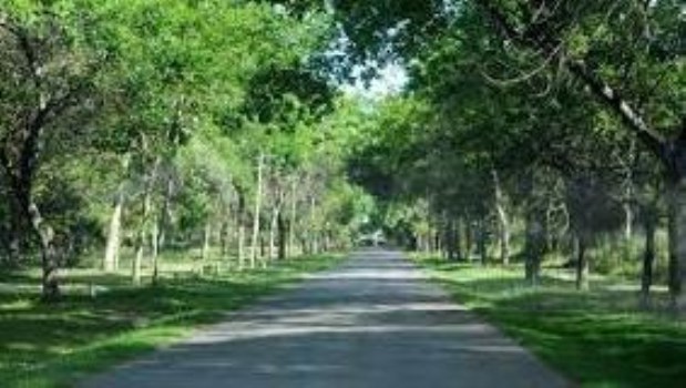 La Reserva Municipal Los Robles abarca un área de bosque implantado de 268 hectáreas.